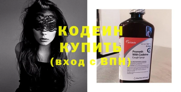 ПСИЛОЦИБИНОВЫЕ ГРИБЫ Корсаков