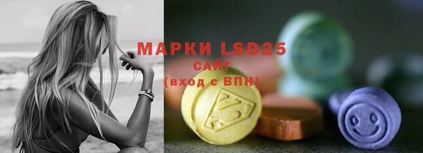 ПСИЛОЦИБИНОВЫЕ ГРИБЫ Корсаков