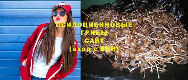 каннабис Коряжма