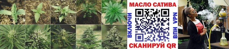 дарнет шоп  Фролово  ТГК концентрат 