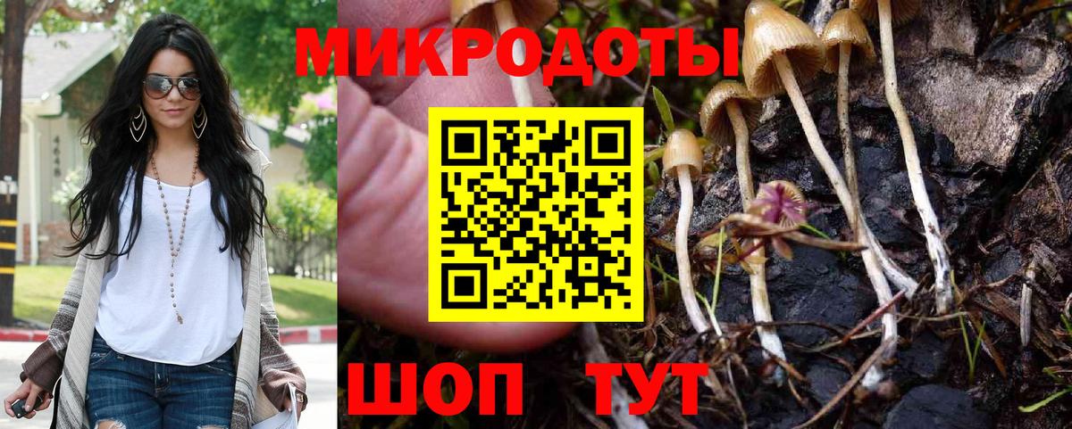 Фролово  Псилоцибиновые грибы ЛСД  Вход с VPN 