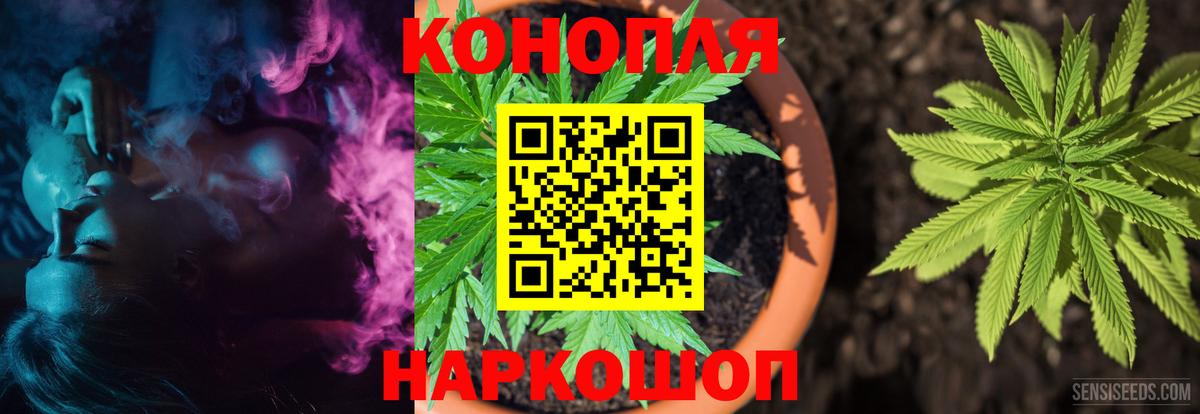 Фролово  Бошки Шишки тримм  Вход с VPN  Шишки марихуана план  Конопля OG Kush 